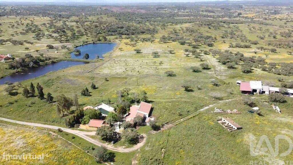 Propriedade T7 em Ourique de 490 m2 - Grande imagem: 2/40