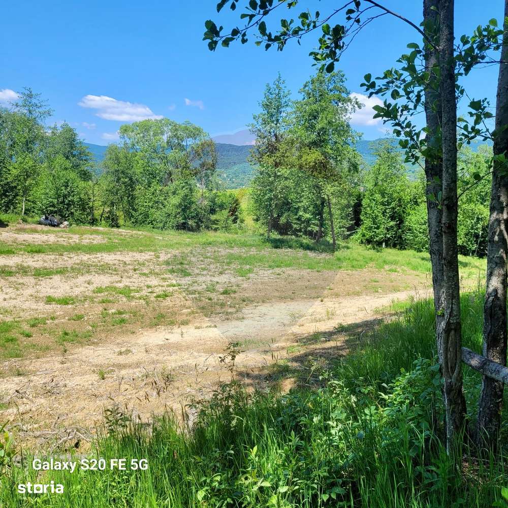 Oază de liniște – teren de vânzare 6.725 mp-0