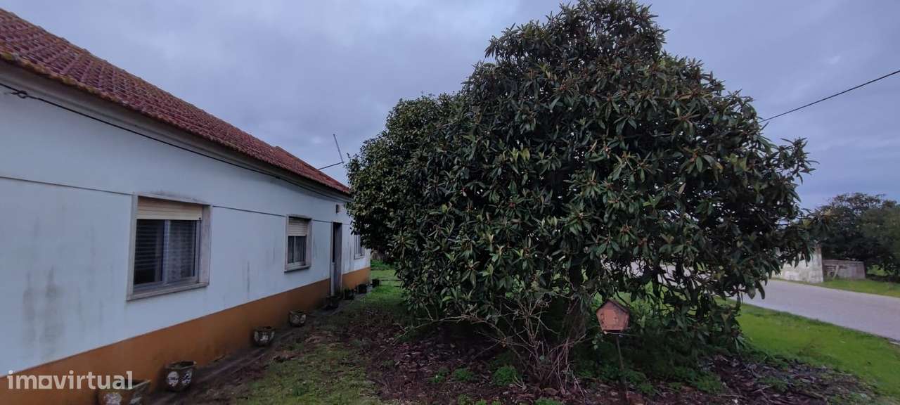 Moradia T3,  para Venda, em Taipadas - Canha - Grande imagem: 3/31