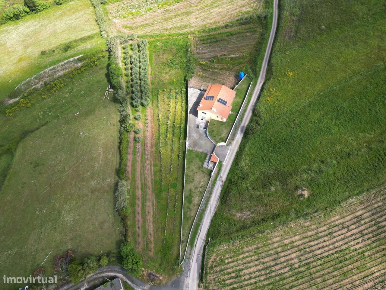 Terreno para Construção - Bárrio, Alcobaça - Grande imagem: 5/7