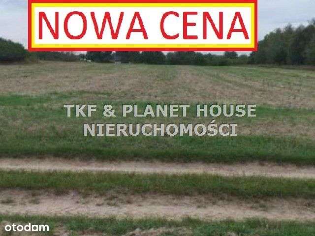 Działka Rolna 9100m2 Werówka gm.Drzewica - Pełny obrazek: 1/4