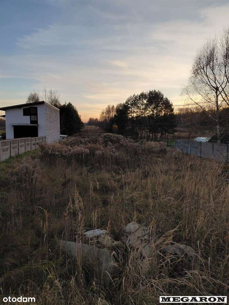 Działka, 7 998 m², Gęzyn-1