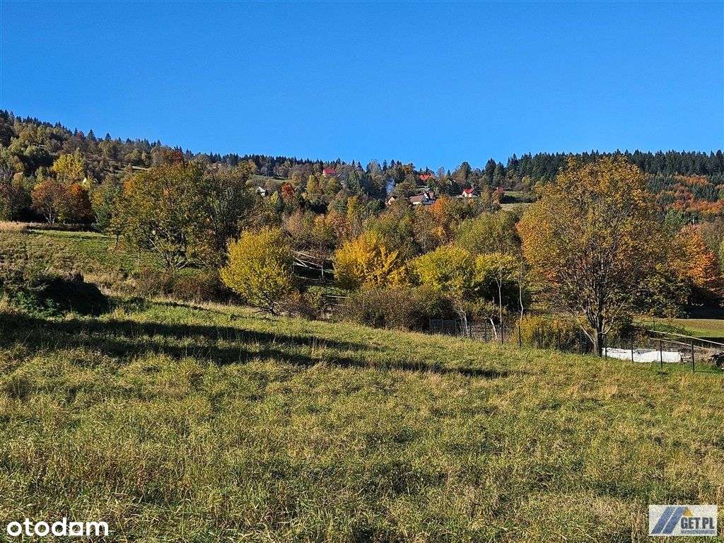 Budowlana, widokowa działka Zawoja- Przysłop. Prąd - Pełny obrazek: 4/11