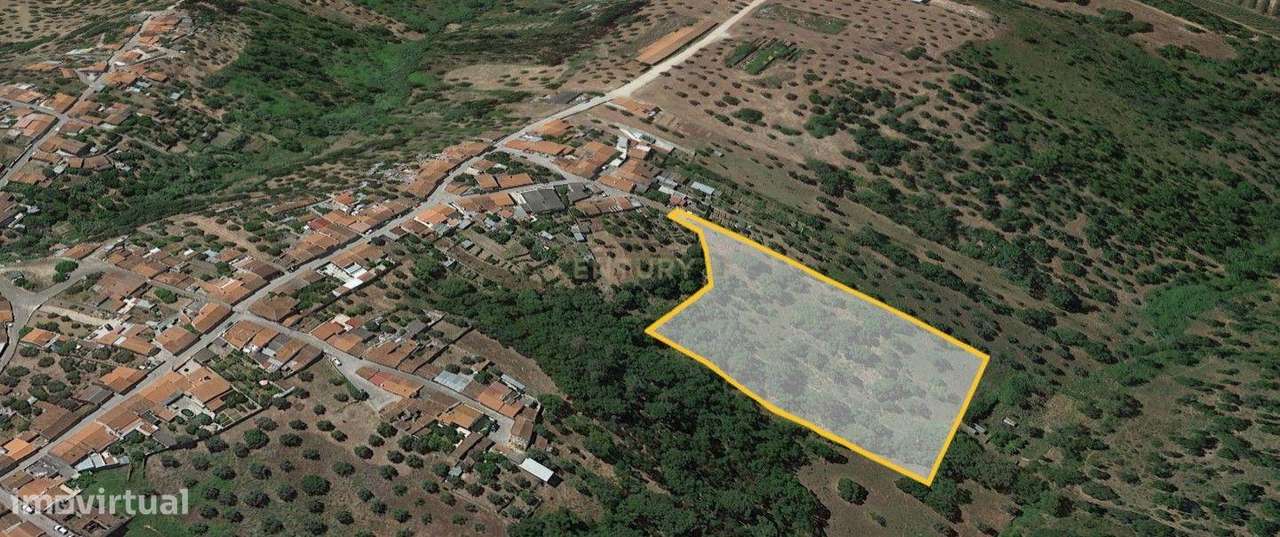 Terreno de 8280m² com cultura Arvense variada em Abrantes - Grande imagem: 4/11