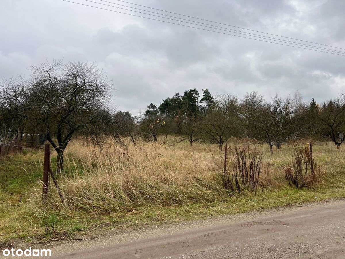 448292 - Pełny obrazek: 2/12