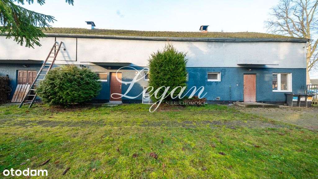 Hala/Magazyn, 200 m², Stare Kurowo - Pełny obrazek: 3/20