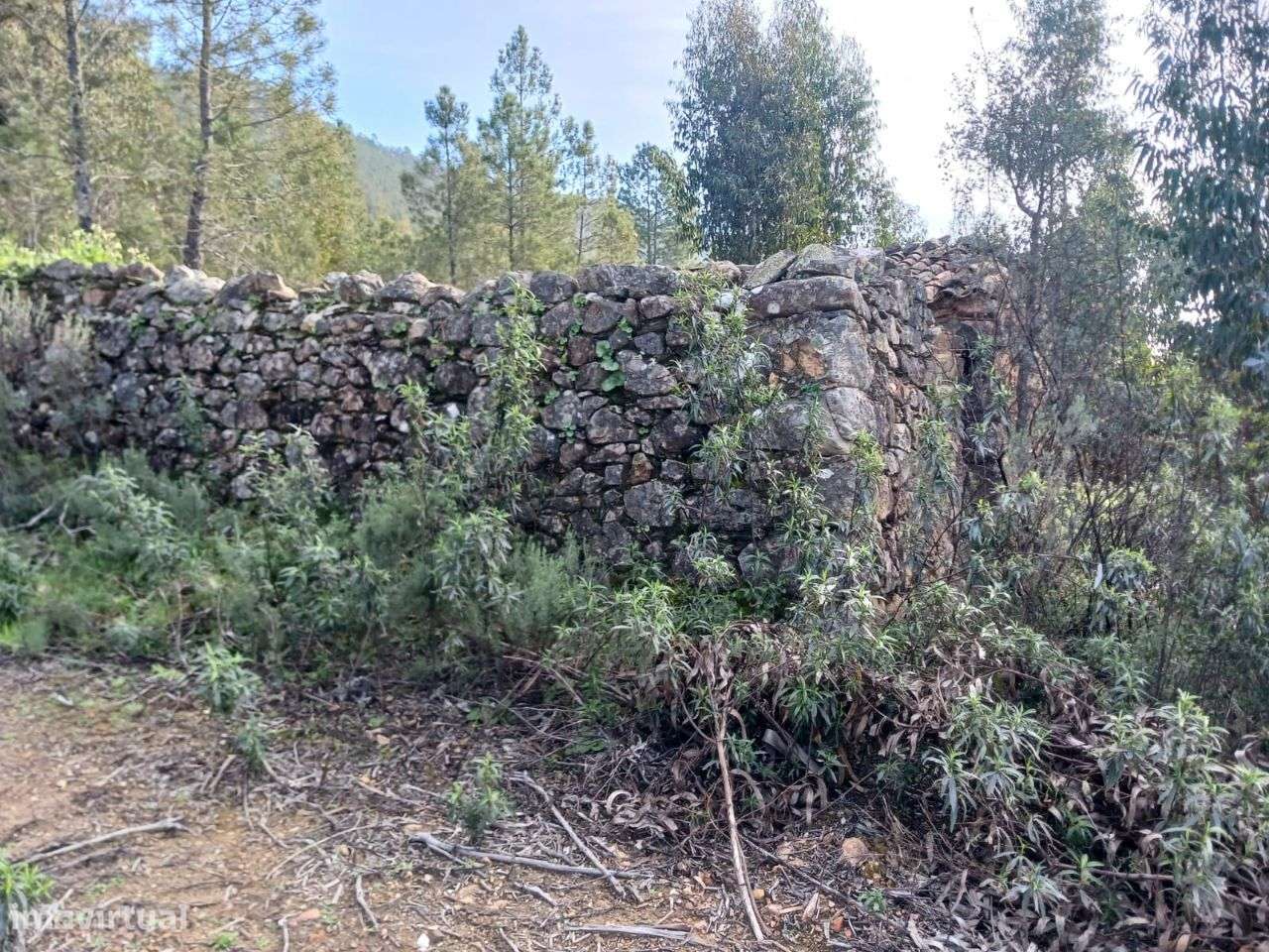 Quinta - Grande imagem: 4/13