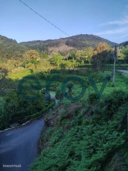 TERRENO + CASA PRÉ-FABRICADA EM FRIANDE - PÓVOA DE LANHOSO - Grande imagem: 4/6