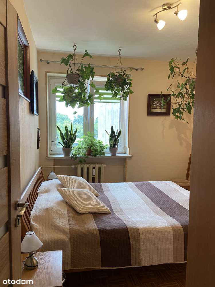 Mieszkanie z narożną loggią 72,4m2 | łazienki po remoncie! | Żyrardów-1