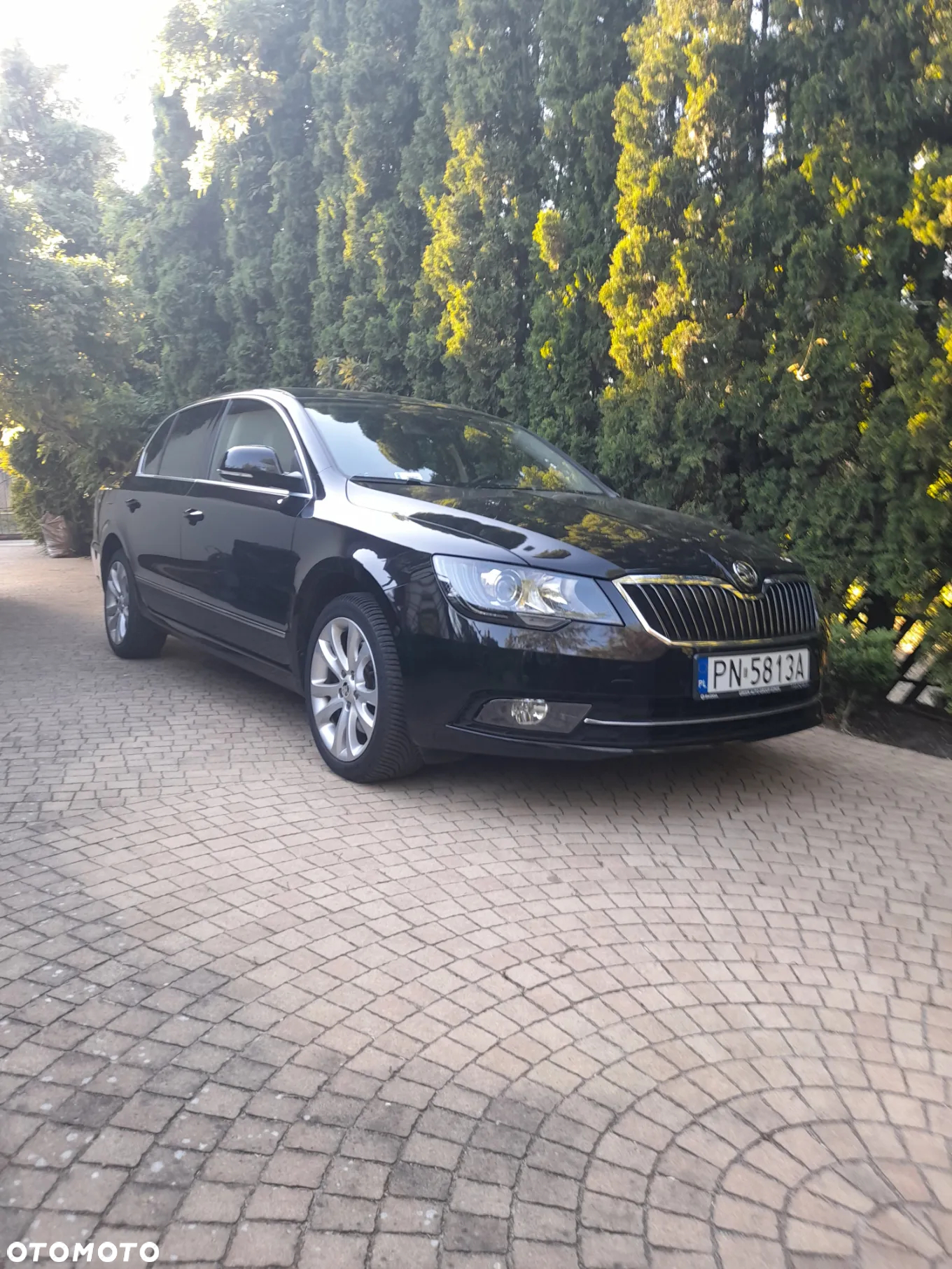 Skoda Superb 2.0 TDI Platinum DSG - 6