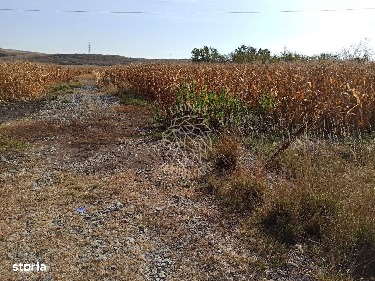 Teren 4606 mp-ideal investitie-Sarata - Imagine principală: 4/5