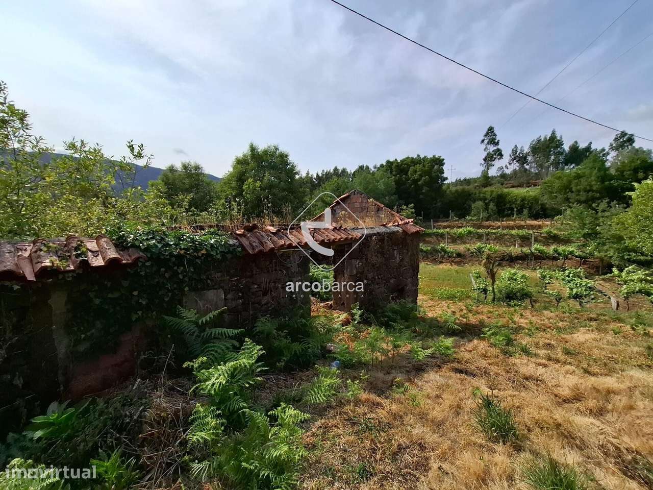 Quintinha ruinas p/restauro com 2520m2 - Moreira Lima - Ponte de Lima-1