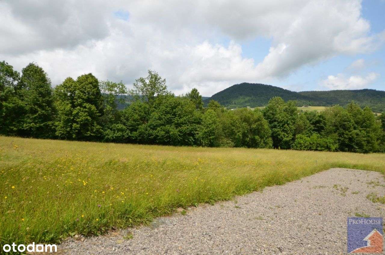 Działka, 1 504 m², Pisarzowa - Pełny obrazek: 4/13