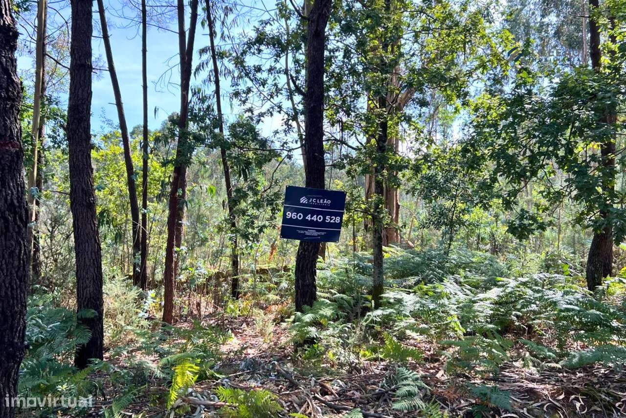 Terreno Rústico com 1400m2 em Lamoso, Paços de Ferreira - Grande imagem: 2/18