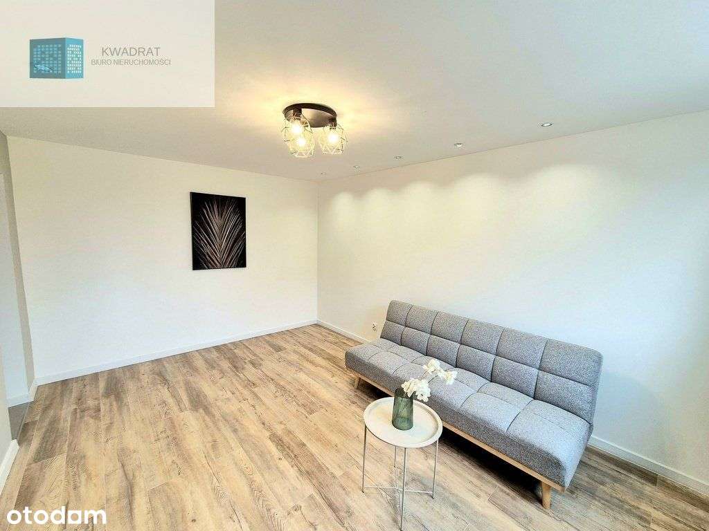 3 pokoje do wprowadzenia Dąbrowa - Pełny obrazek: 3/11