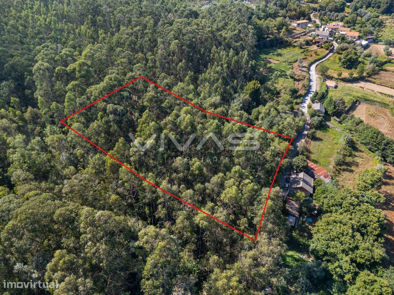 Terreno Rústico  Venda em Cabaços e Fojo Lobal,Ponte de Lima - Grande imagem: 2/12