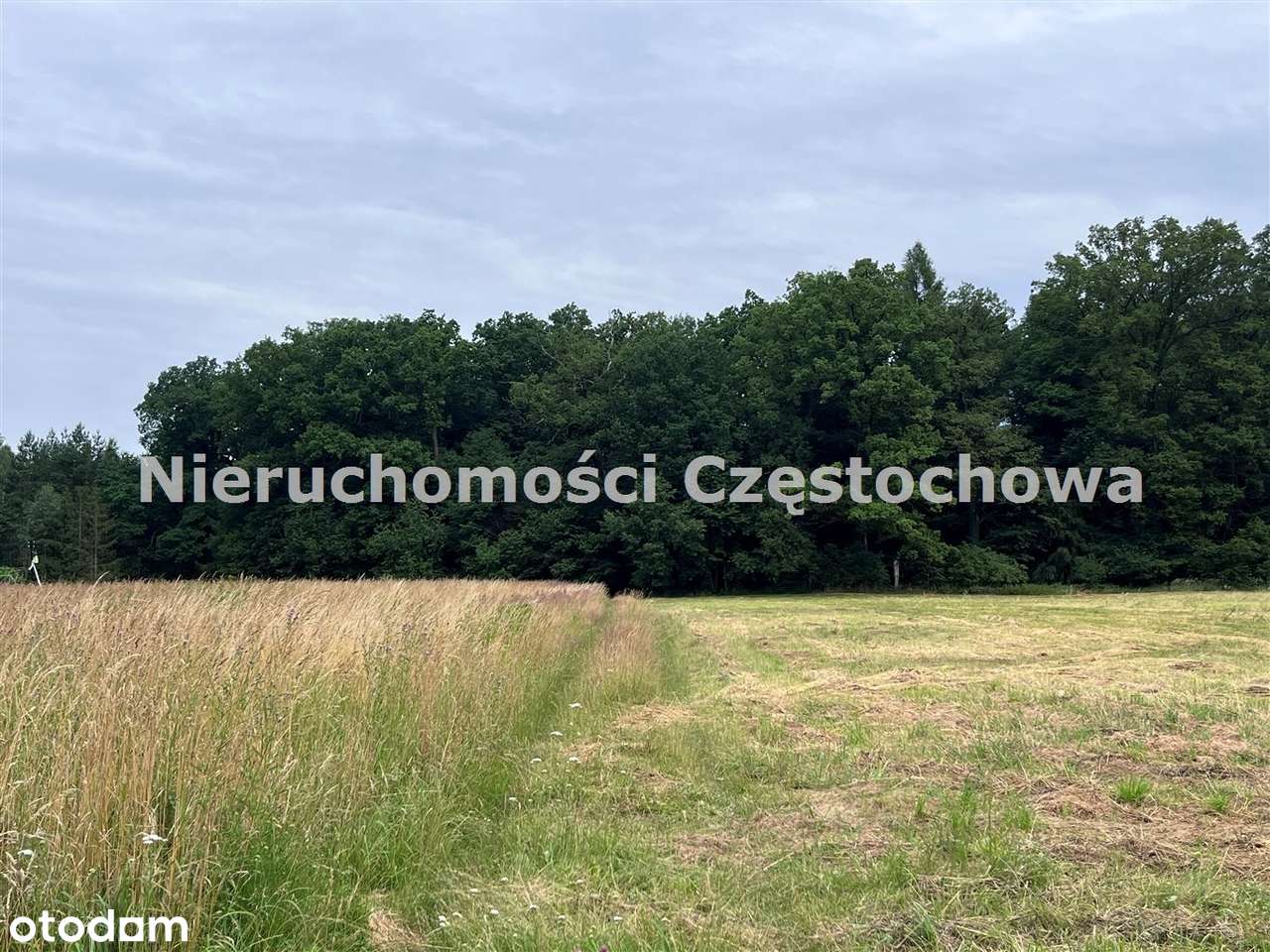 Nieduży domek Wręczyca Wielka-9