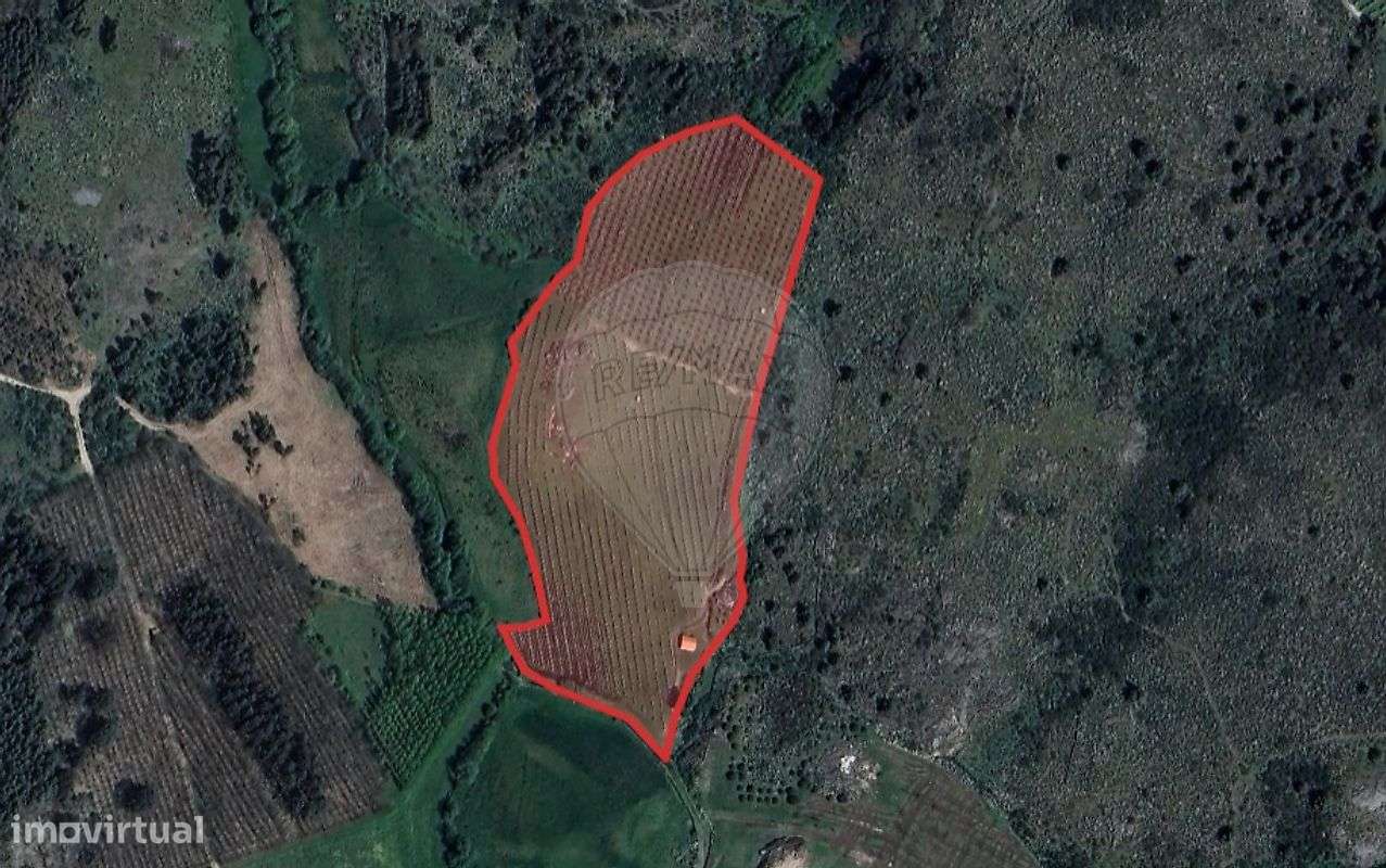 Quinta  para venda - Grande imagem: 3/10