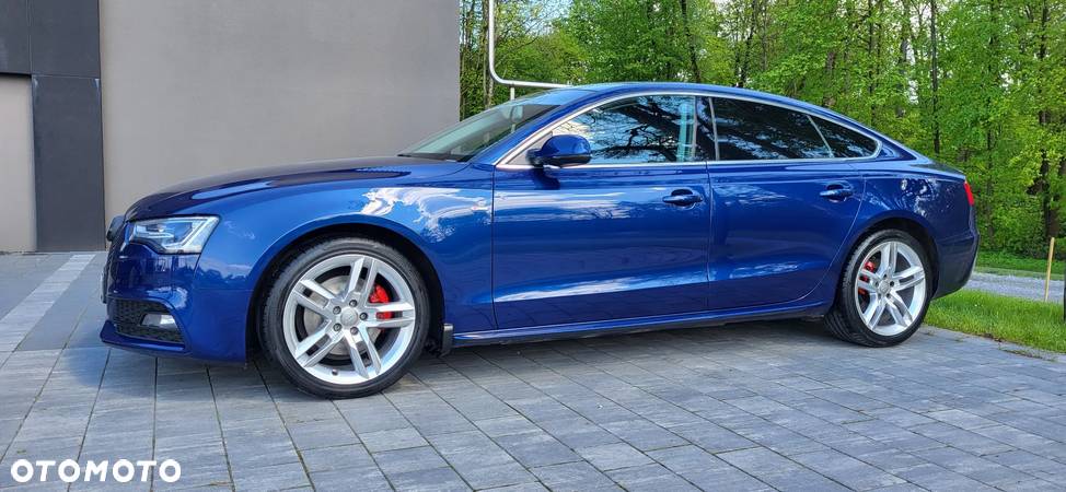 Audi A5 2.0 TDI Sportback (clean diesel) quattro DPF - 9