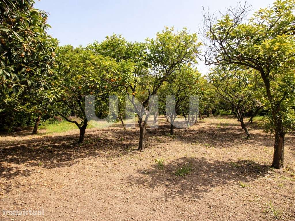 Terreno Misto em Vila Franca de Xira!-11