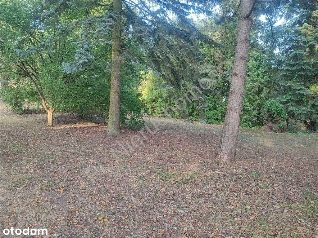 Jedyna W Takiej Lokalizacji Komorowa !!! - Pełny obrazek: 4/4