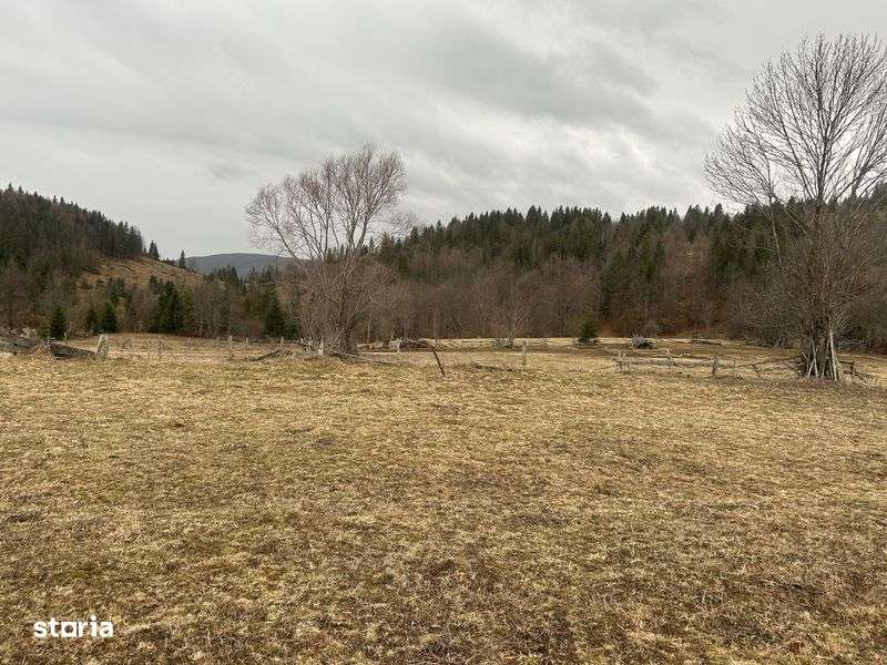 Teren de vanzare - Imagine principală: 5/6