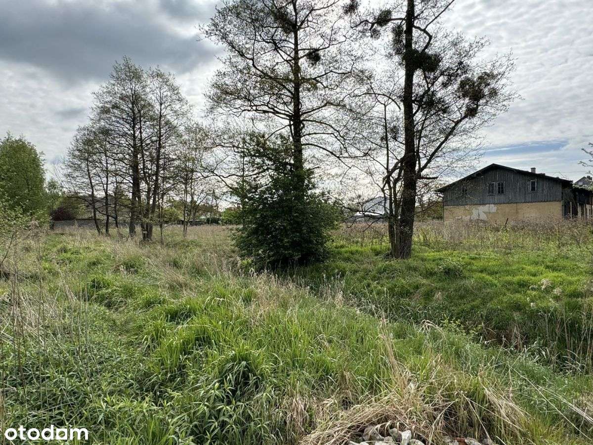 działka 8500m2 Długołęka-19