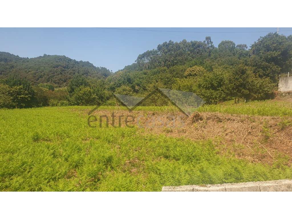 Terreno - Grande imagem: 3/8