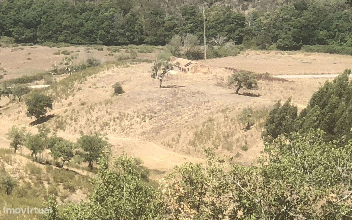 Quinta de grandes dimensões com potencial de construção - Grande imagem: 5/13