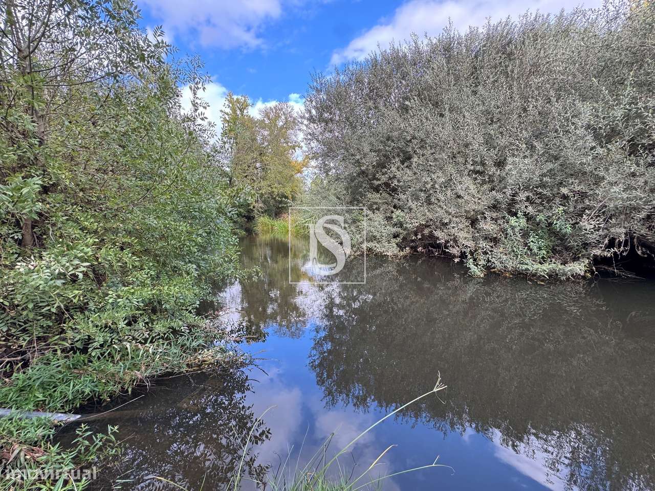 Quintinha em Tramaga-30