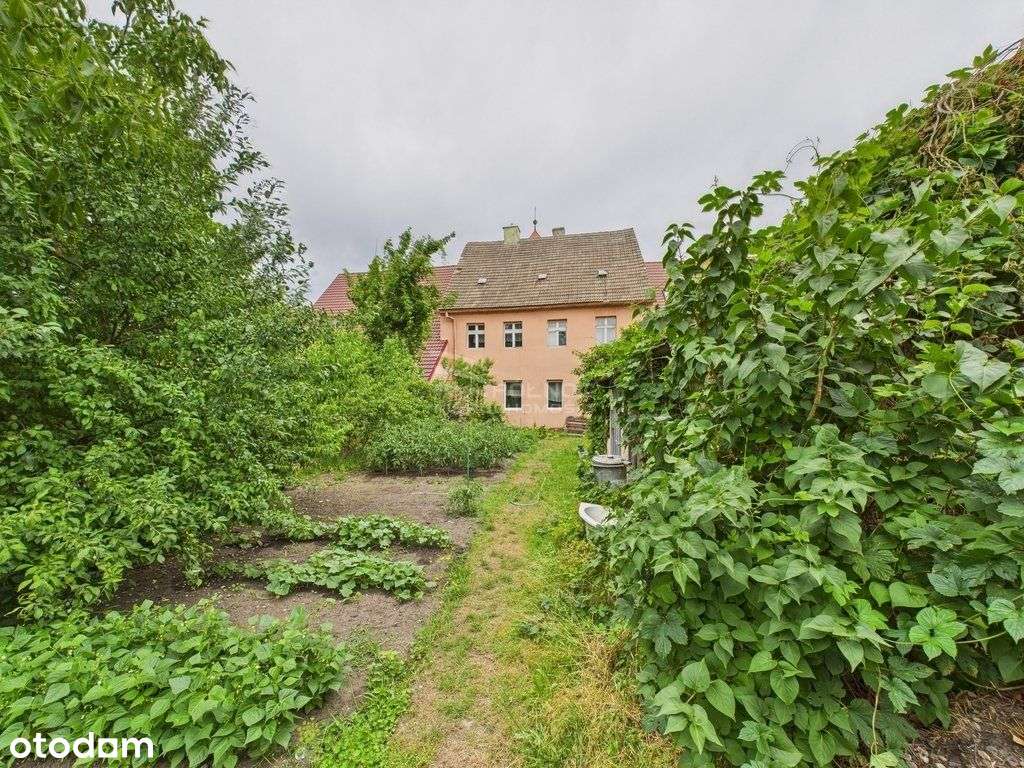 Dom w zabudowie szeregowej w Bytomiu Odrzańskim - Pełny obrazek: 4/20