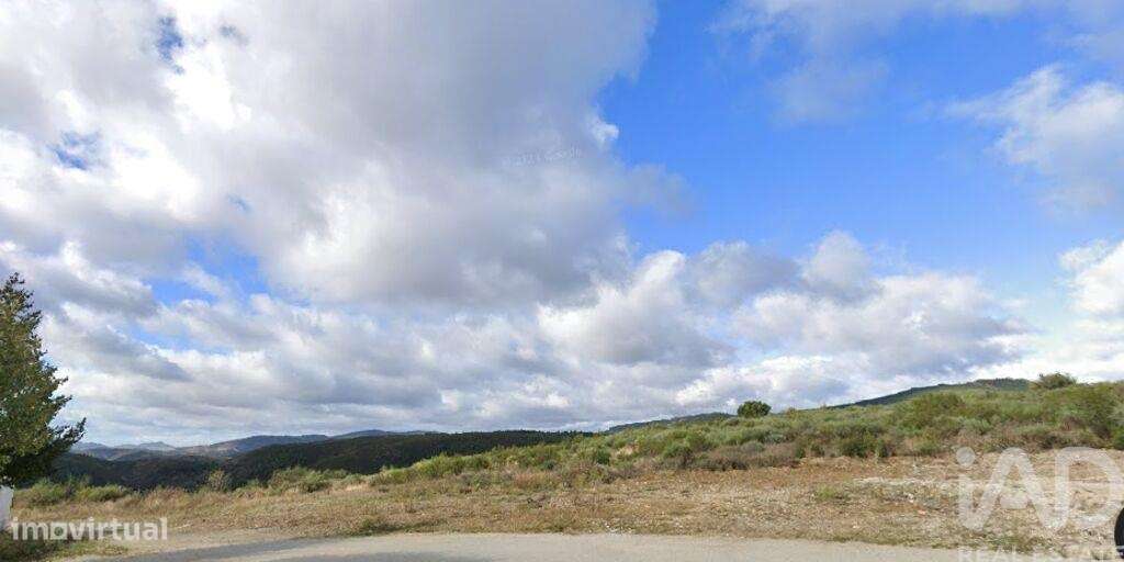 Terreno Agrícola em Mós - Grande imagem: 2/7