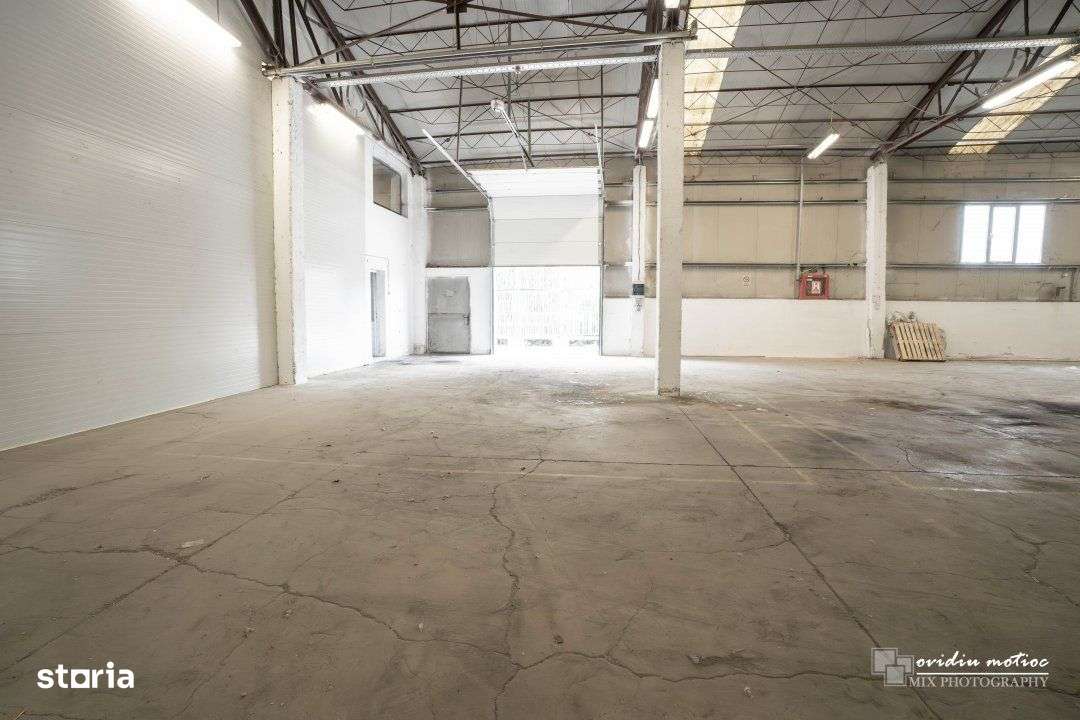 Modul hala 200-400 mp, Calea Baciului - Imagine principală: 5/6