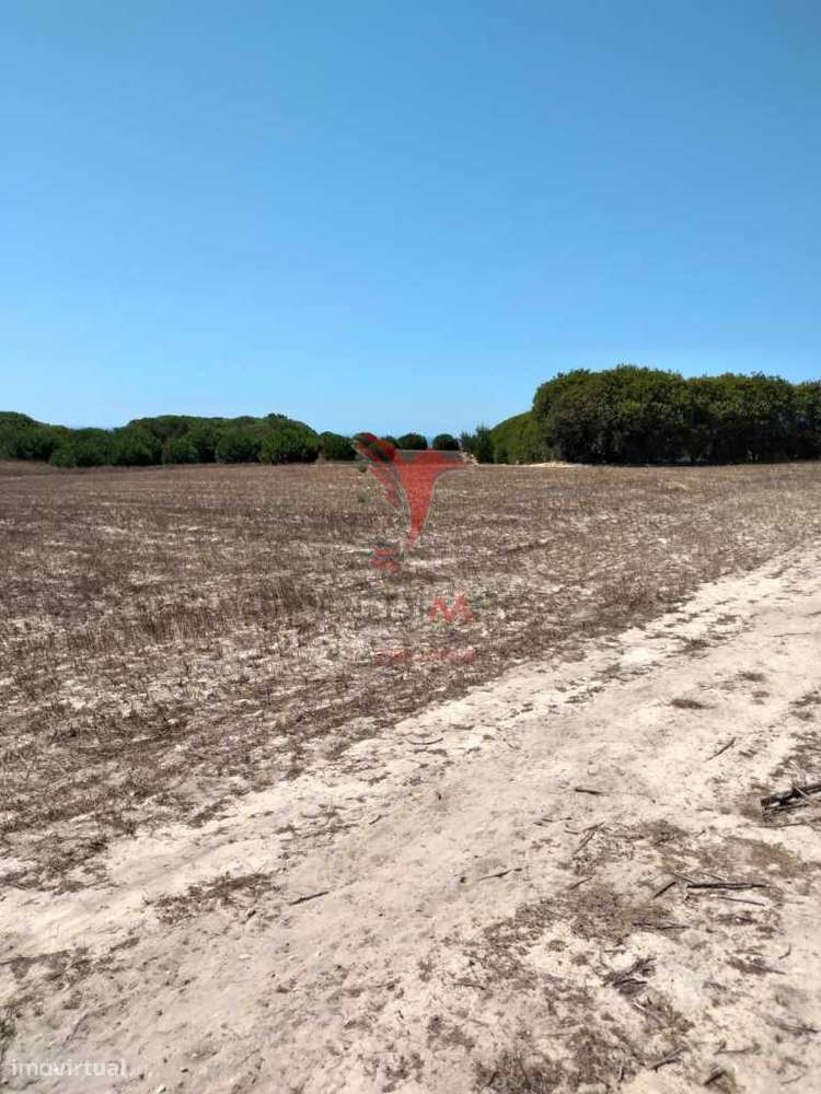 Terreno Rústico de 7.200m2 em Porto Corvo - Grande imagem: 5/9