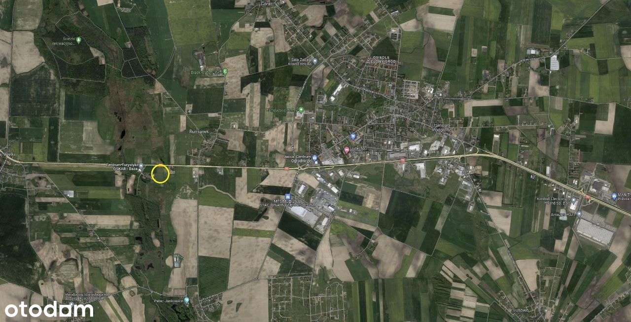 Na sprzedaż działka usługowa MPZP Rumianek Tarnowo - Pełny obrazek: 5/12