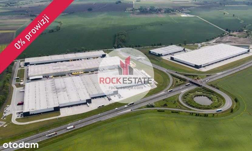 Magazyn A-klasa przy autostradzie od zaraz 4522 m2 - Pełny obrazek: 4/4