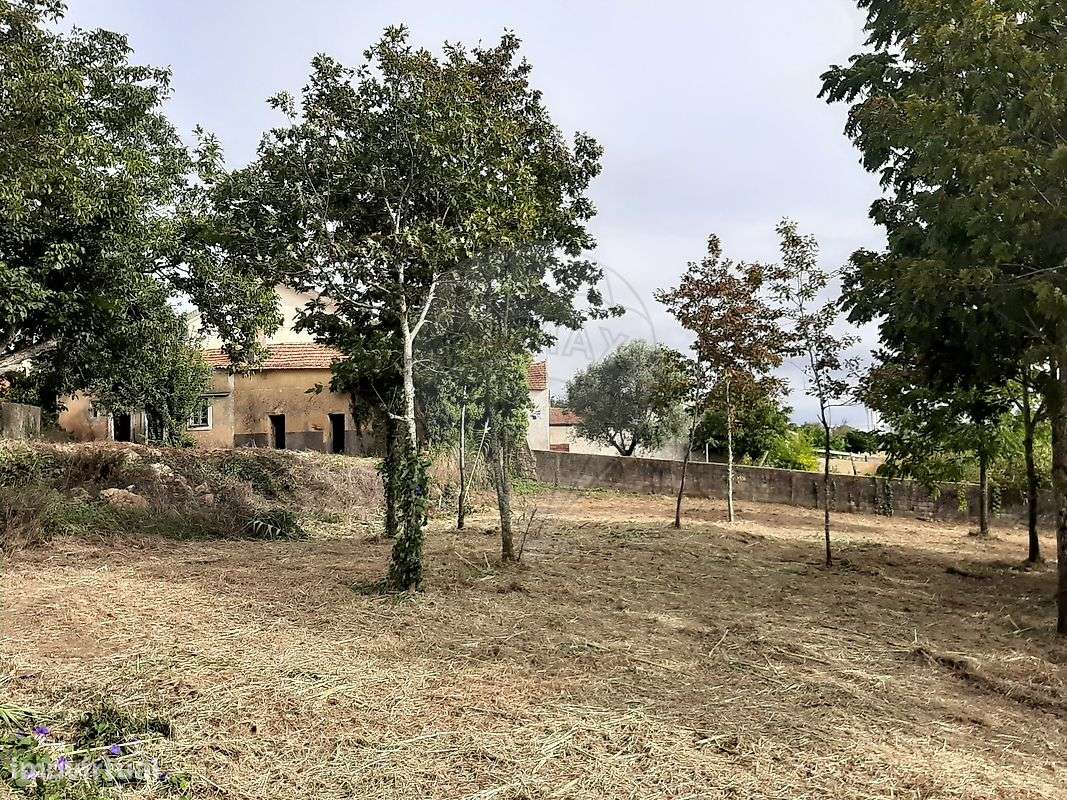 Terreno  para venda - Grande imagem: 5/15