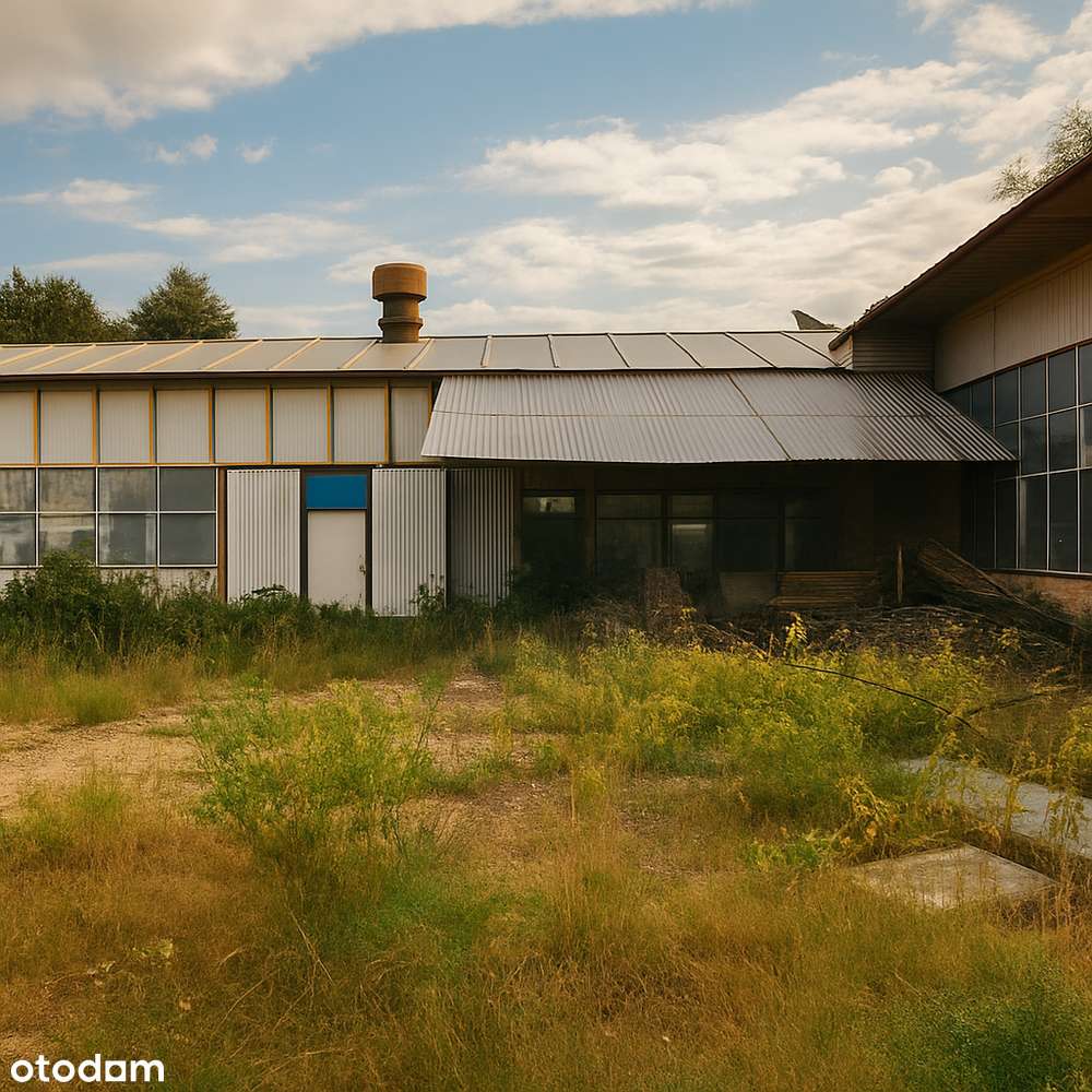 Hala przemysłowa 1700m z gruntem przemysłowym - Pełny obrazek: 4/4