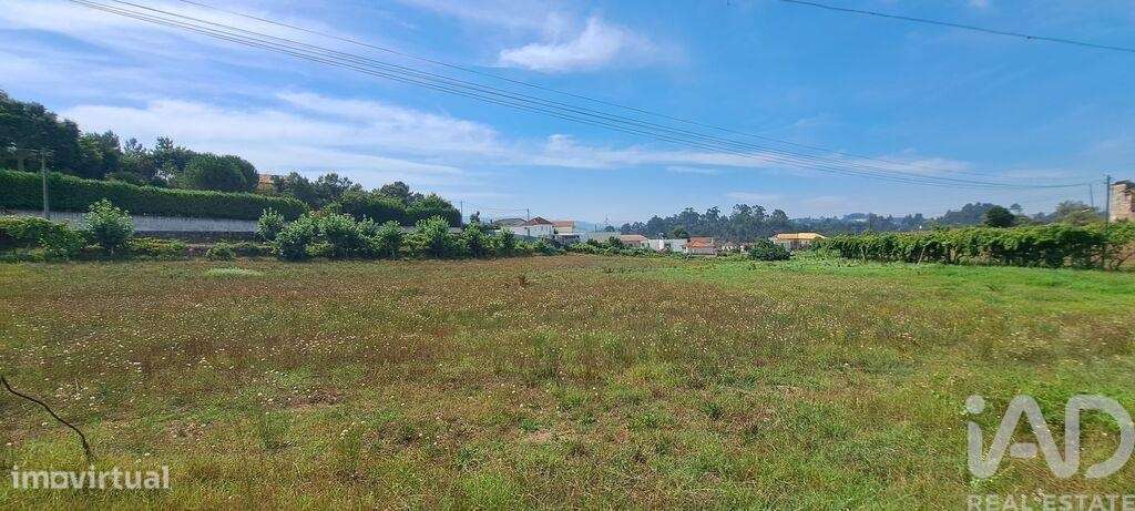 Terreno para construção em Cristelos, Boim e Ordem de 7000,00 m2 - Grande imagem: 4/11