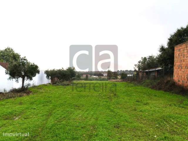 Terreno Rústico com viabilidade de construção - Grande imagem: 5/9