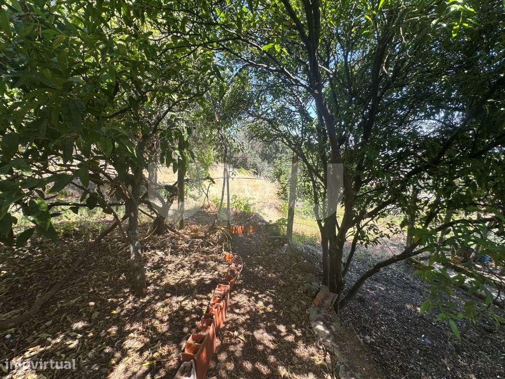 Apartamento T4 com Terraço e Logradouro - Zona Histórica-30