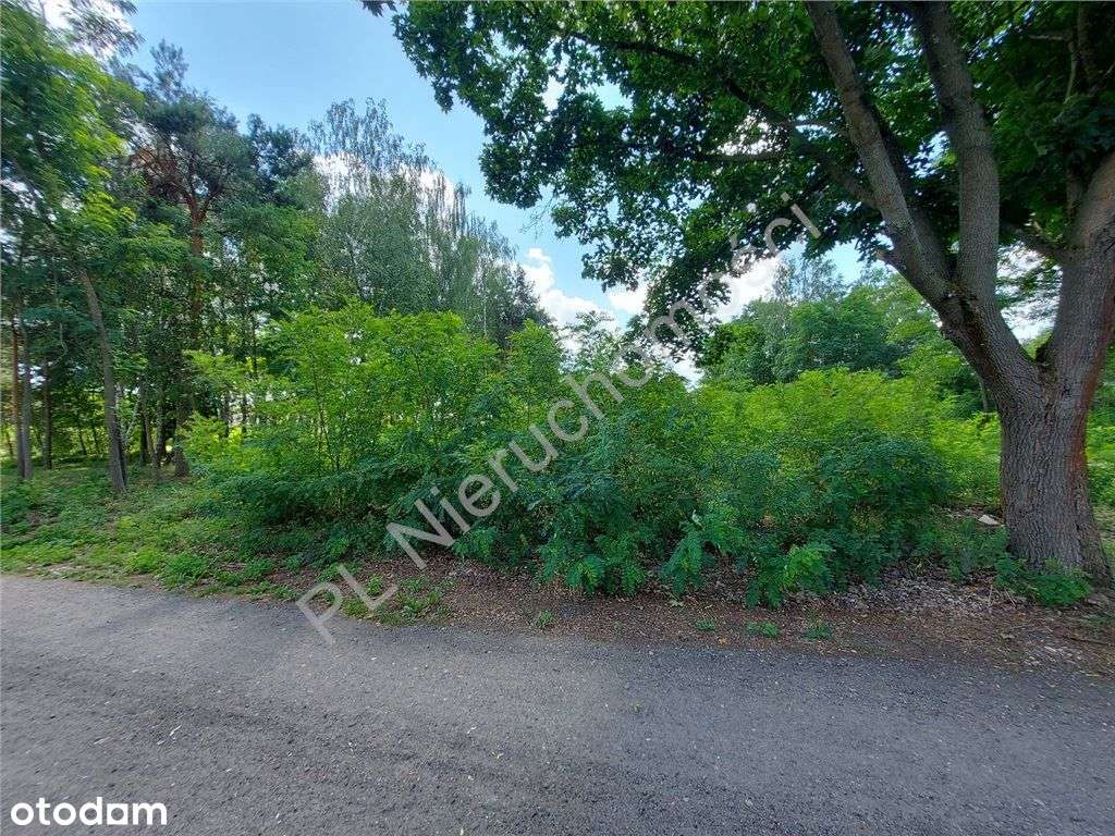 Droga Gminna, Media, Plan Miejscowy. - Pełny obrazek: 4/7