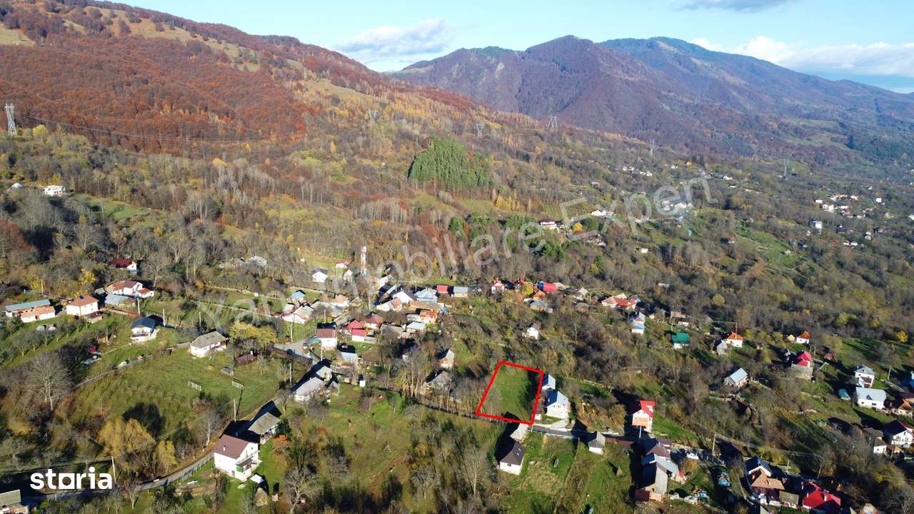 Teren de vânzare în comuna Arefu, județ Argeș. - Imagine principală: 4/15