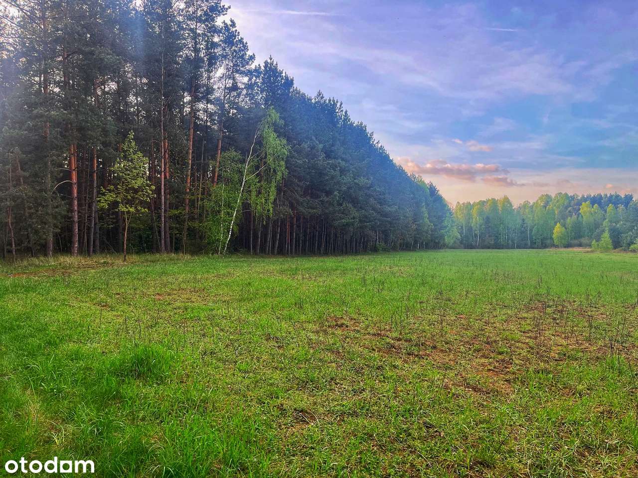 Działki rekreacyjne nad rzeką Wartą-możliwe raty!-12