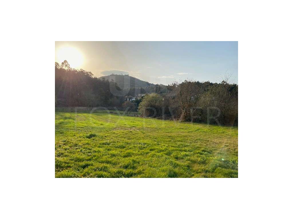 Terreno Agrícola - Subportela - Grande imagem: 4/7