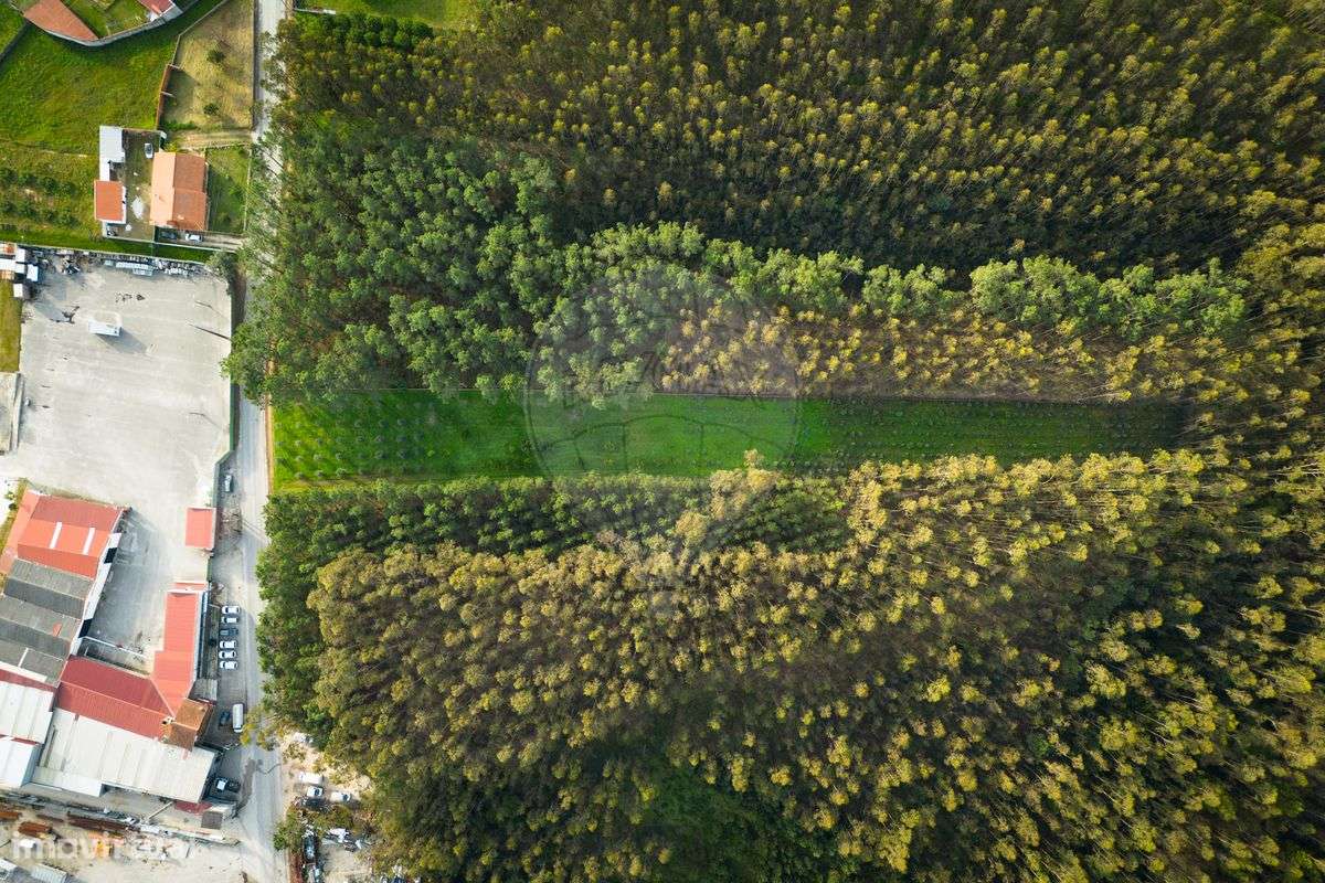 Terreno  para venda - Grande imagem: 4/8