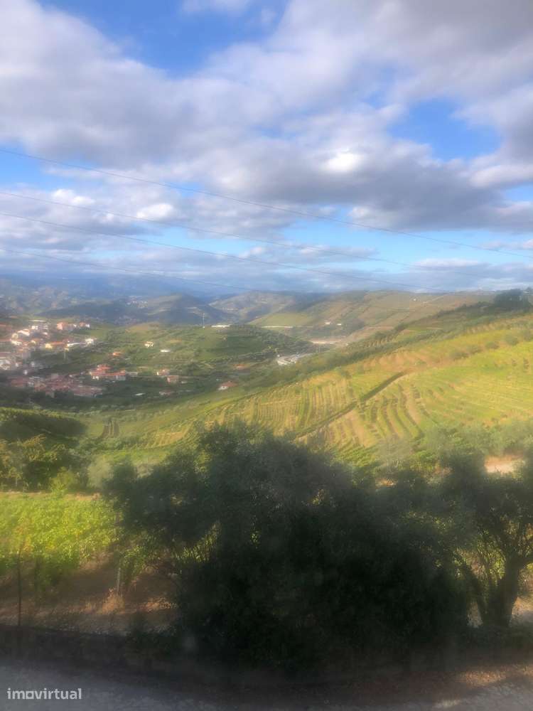 Casa de campo - 6 km do Rio Douro - Régua-12