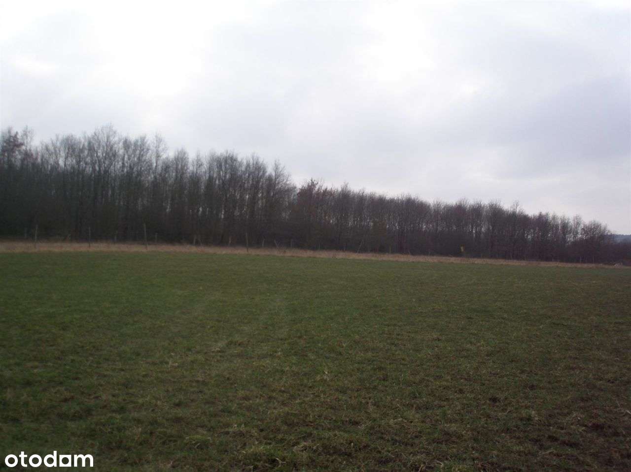Działka Chludowo - Pełny obrazek: 4/9
