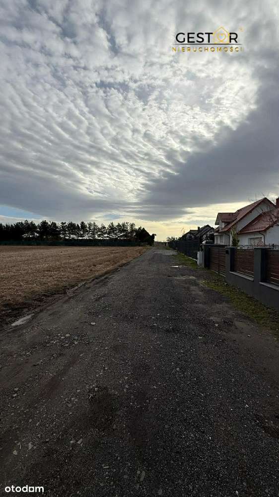 DWIE DZIAŁKI | UCIECHÓW | UL. BŁAWATNA | NR 884/1 i 884/2 - Pełny obrazek: 5/6