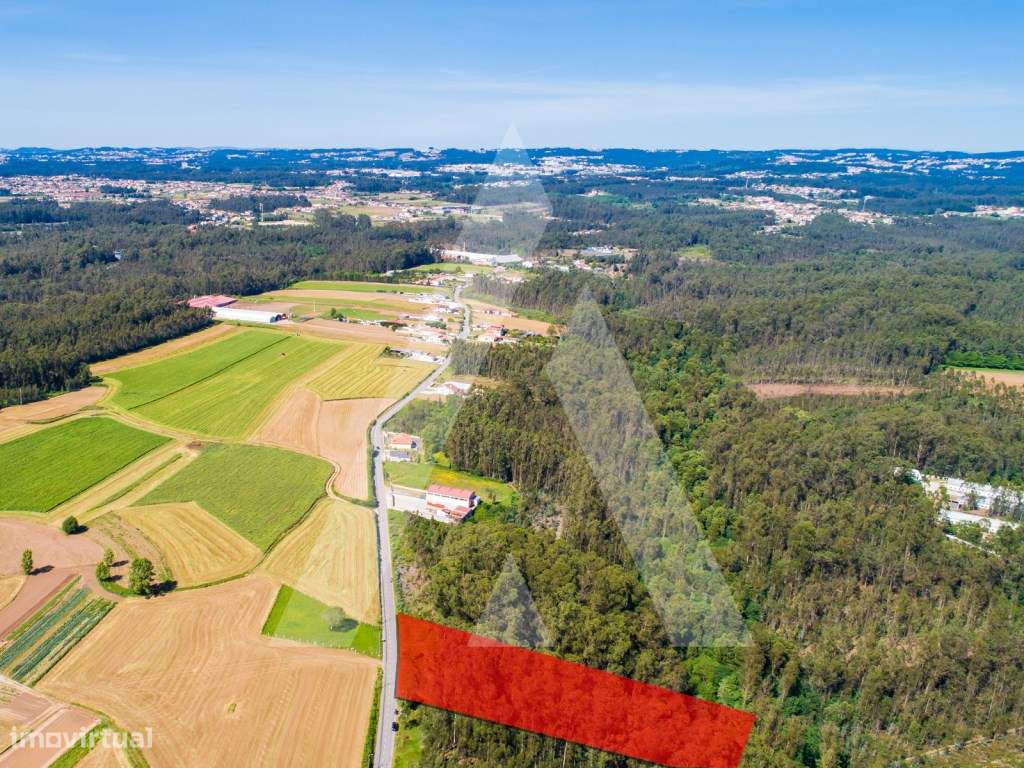 Terreno para construção entre Ovar e Santa Maria da Feira. - Grande imagem: 4/22